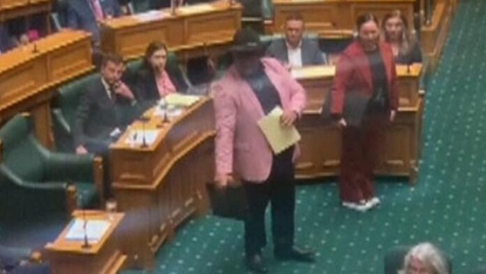 Insults and a haka in New Zealand parliament as MPs debate Māori rights bill